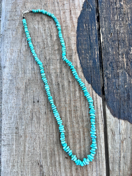 Chilean Turquoise Sterling Clasp 19β Necklace