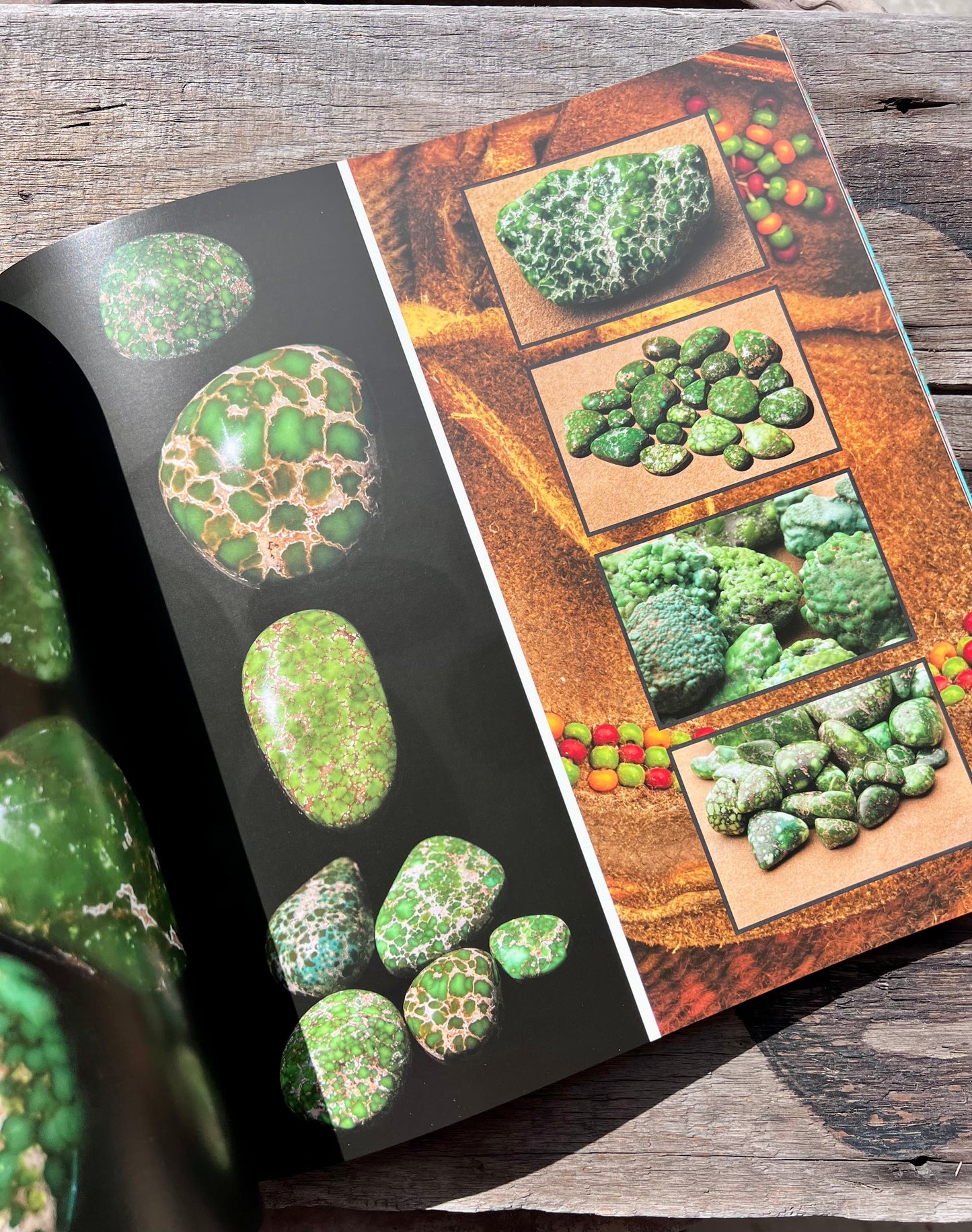 TURQUOISE: JEWEL OF THE SOUTHWEST, 2024 by Annie Osburn