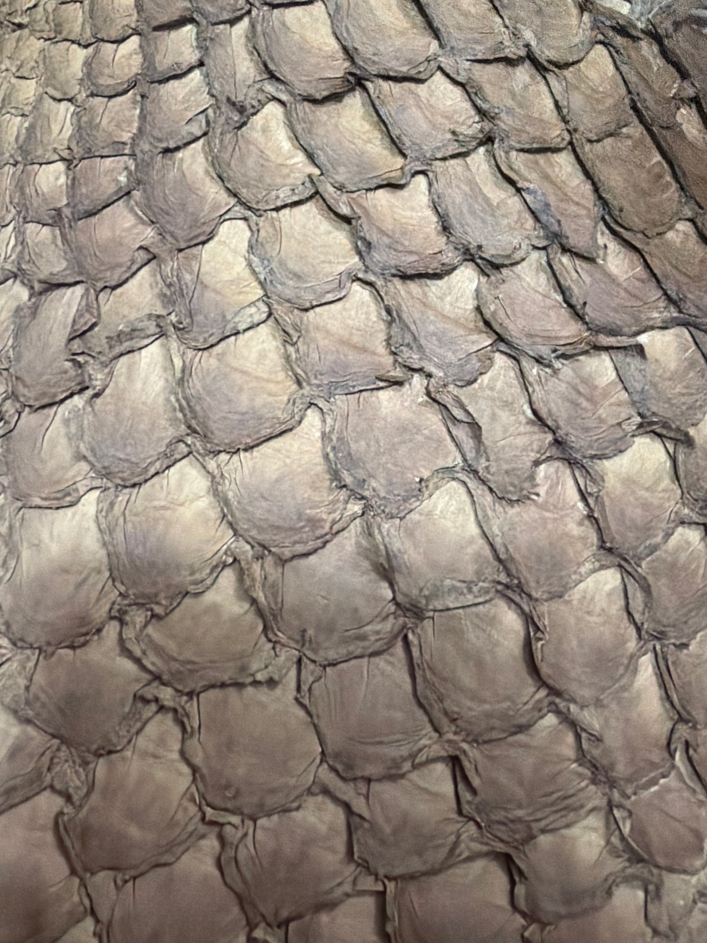 Exotic Long Wallets, Choose your leather!