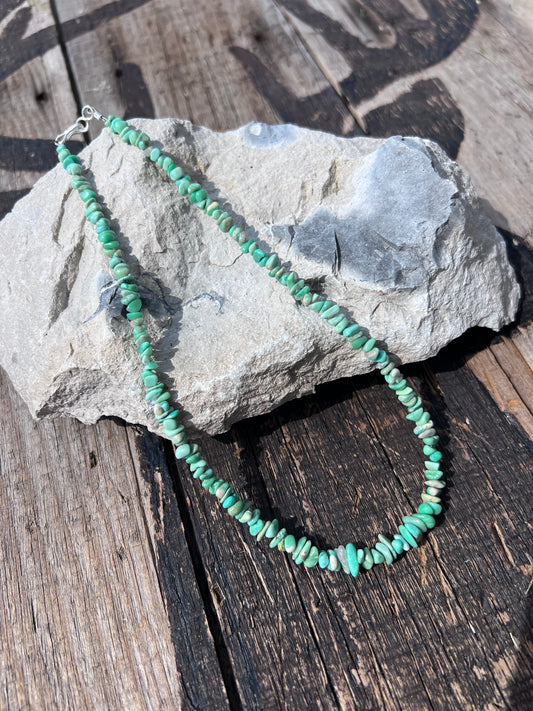 Nevada Variscite Nugget 4-9mm Necklace 16.5β length