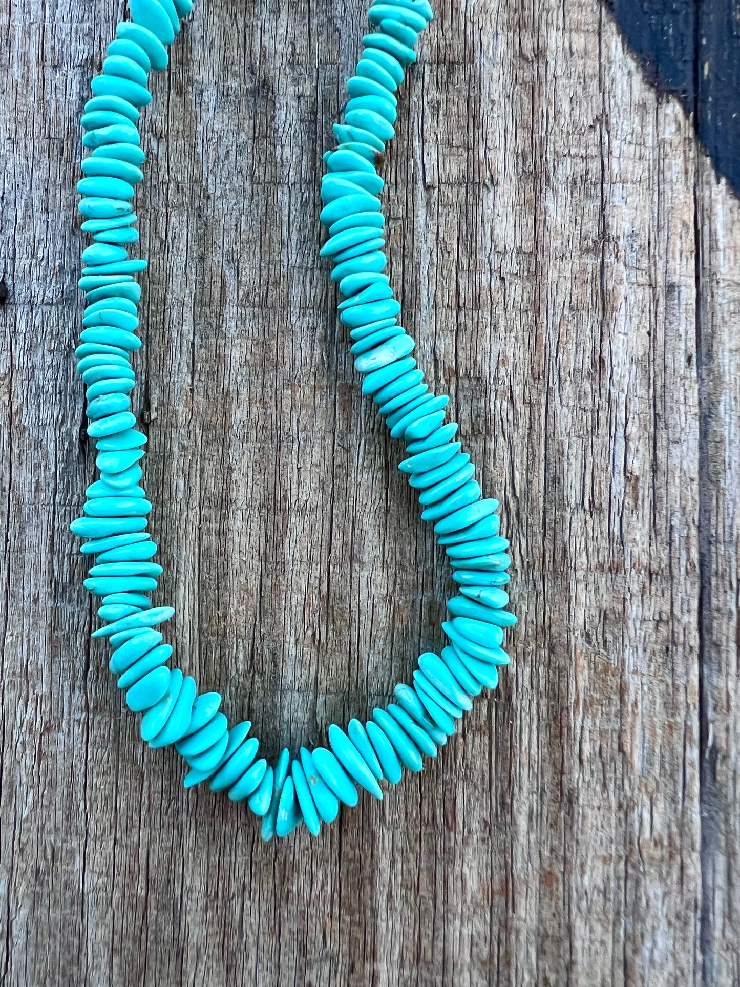 Chilean Turquoise Sterling Clasp 19β Necklace
