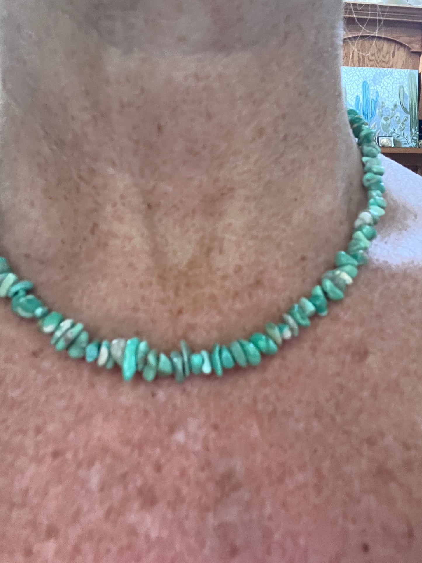 Nevada Variscite Nugget 4-9mm Necklace 16.5β length
