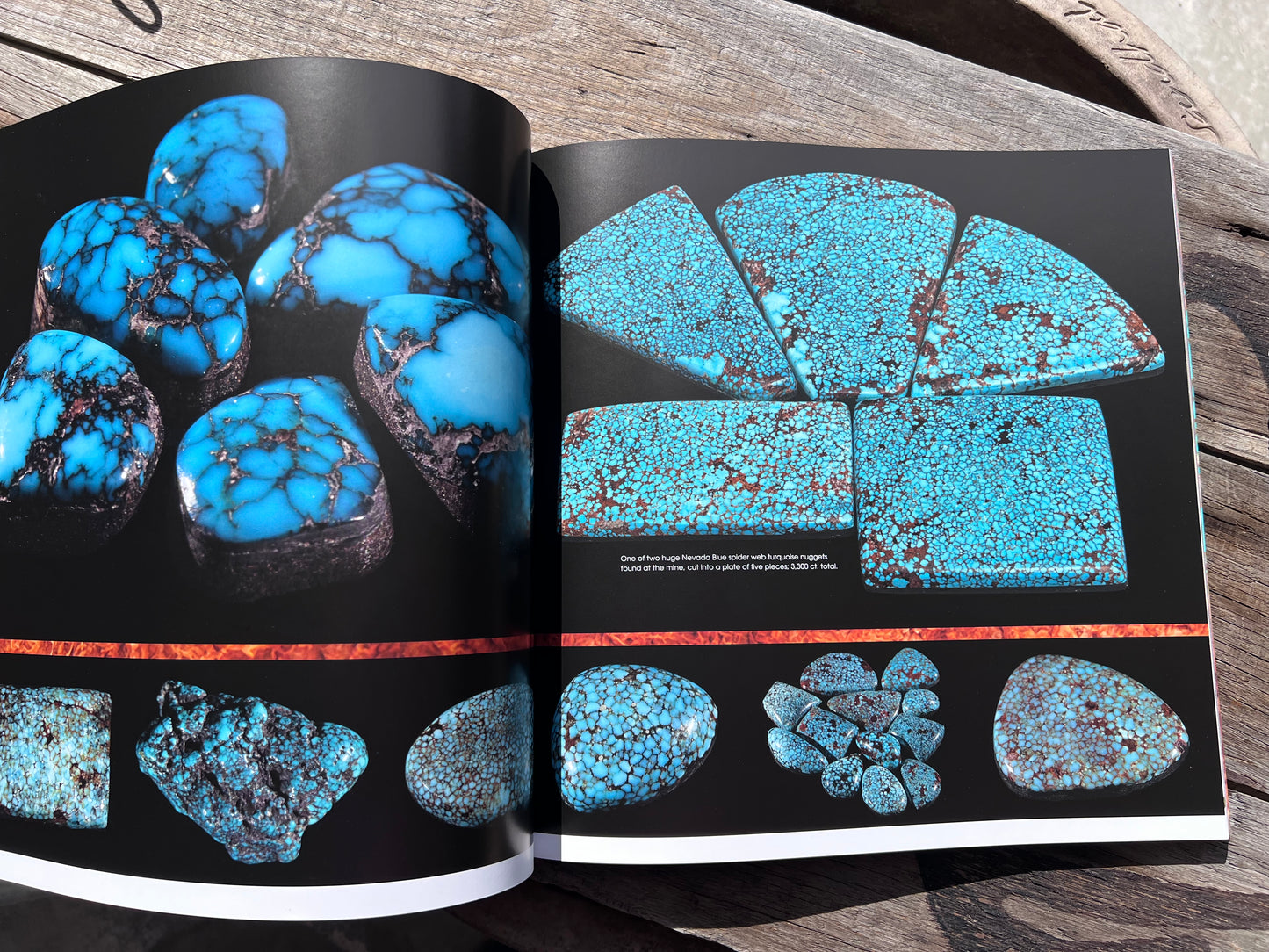 TURQUOISE: JEWEL OF THE SOUTHWEST, 2024 by Annie Osburn