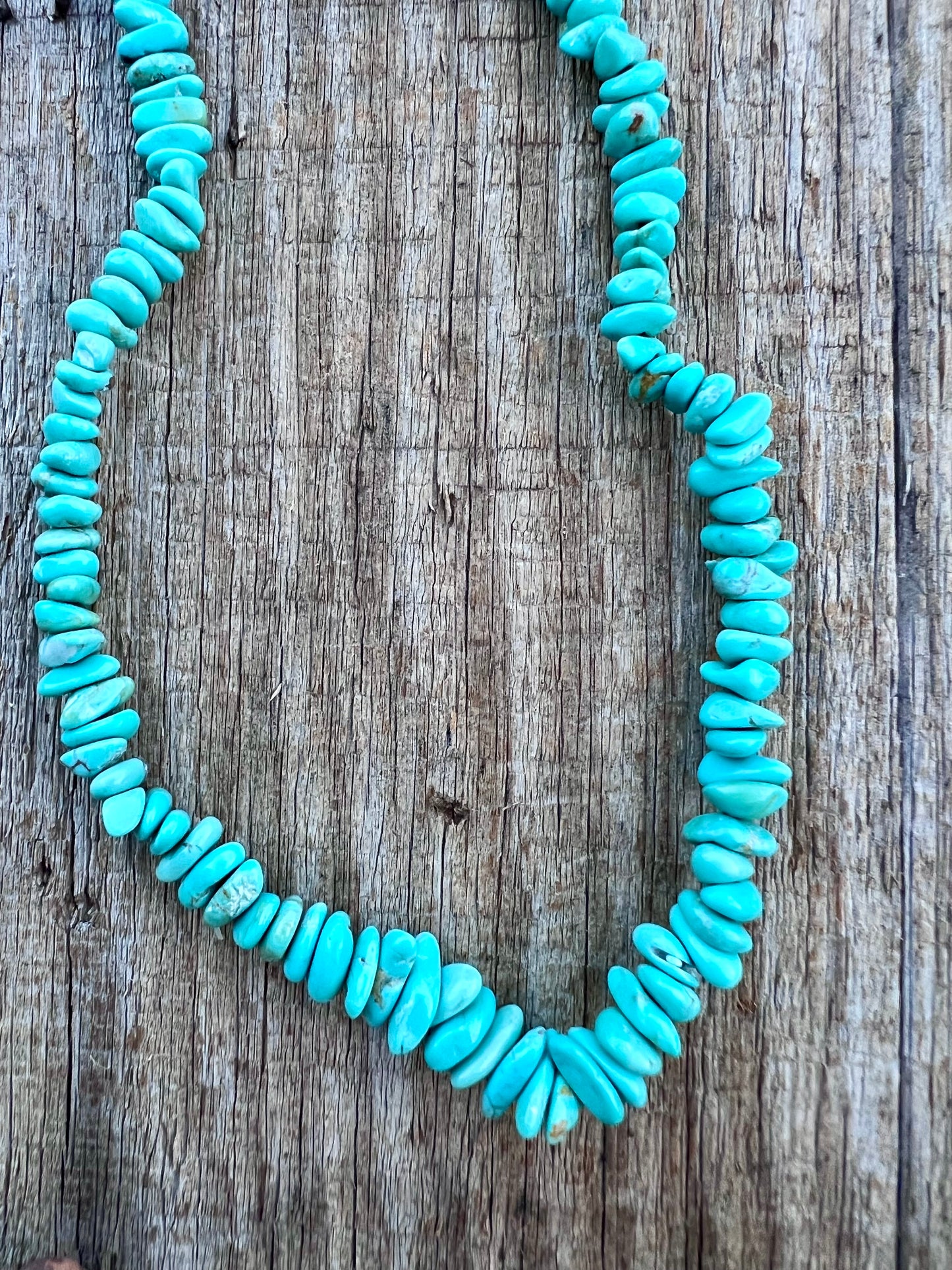 Chilean Turquoise Sterling Clasp 19β Necklace