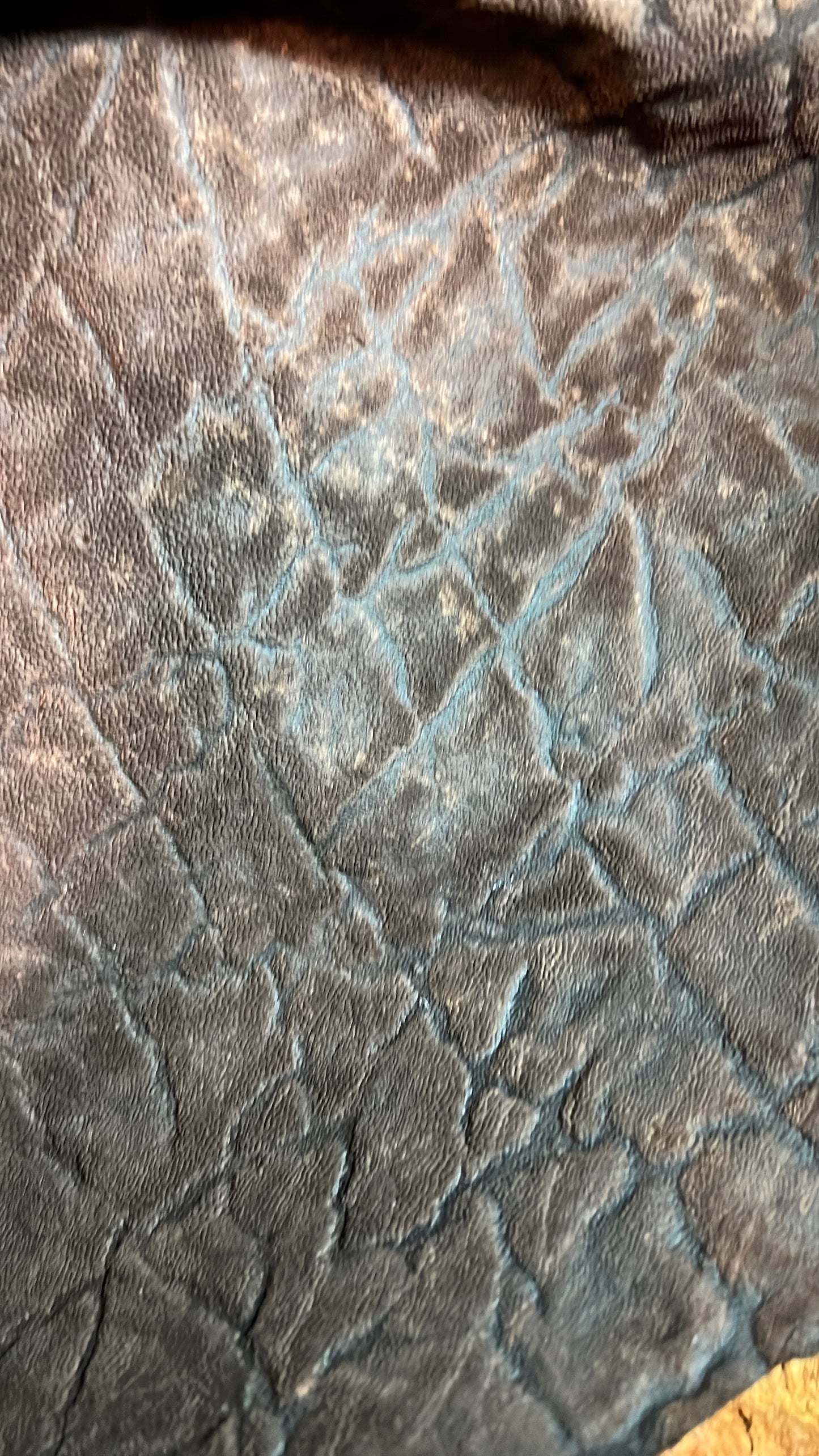 Exotic Bifolds, Choose Your Own Leather
