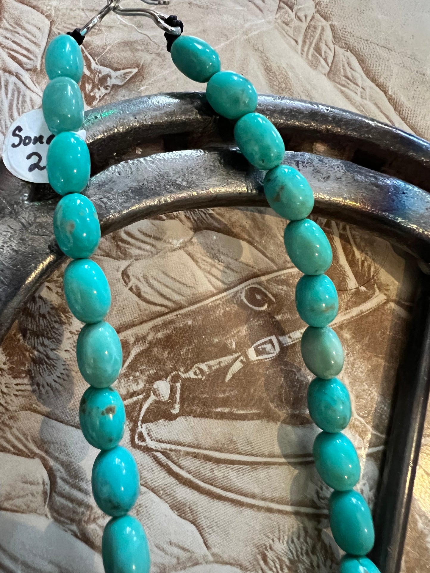 Sonoran Turquoise Bead Necklace 20”
