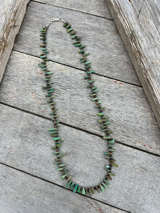 Green Turquoise & Pin Shell Heishi Necklace 22”