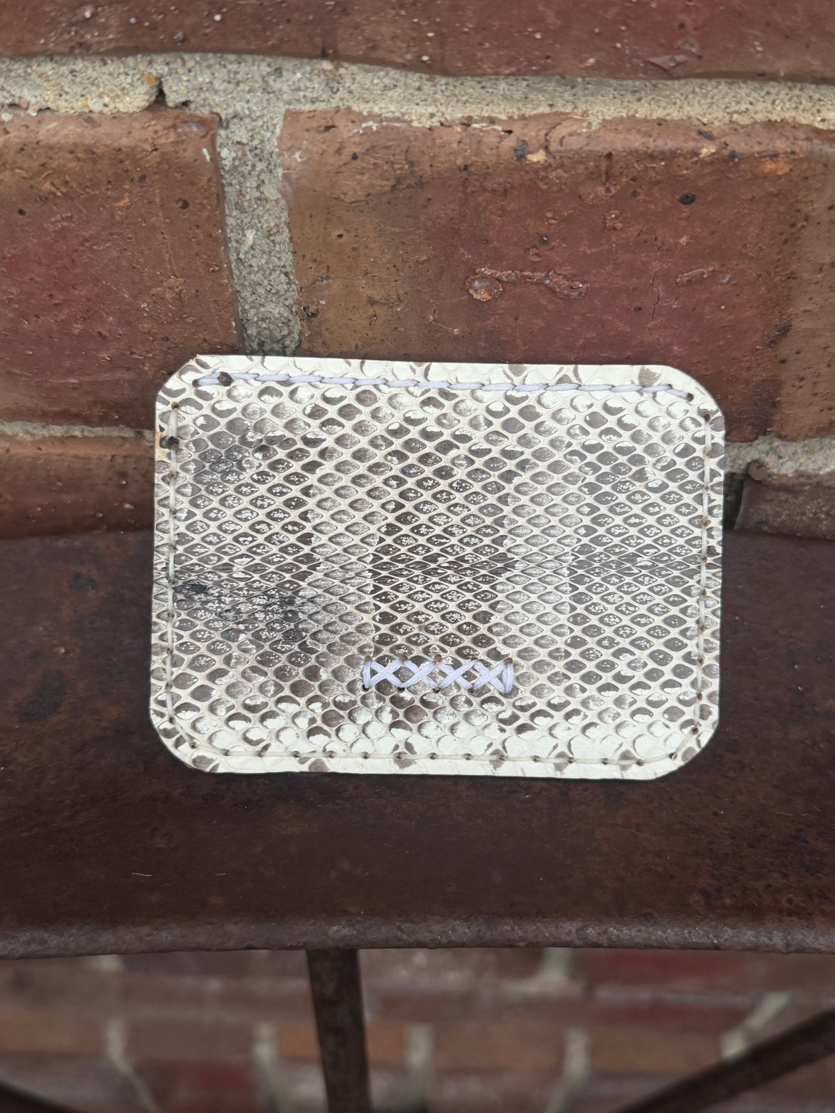 Sea Snake Minimalist Wallet