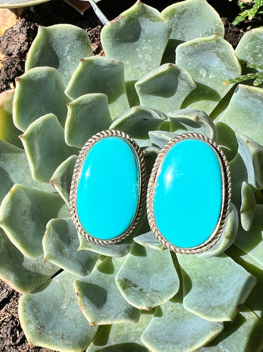Handmade by Lee Sandoval ( Navajo)- Prince Egyptian Turquoise & Sterling Silver Post Earrings