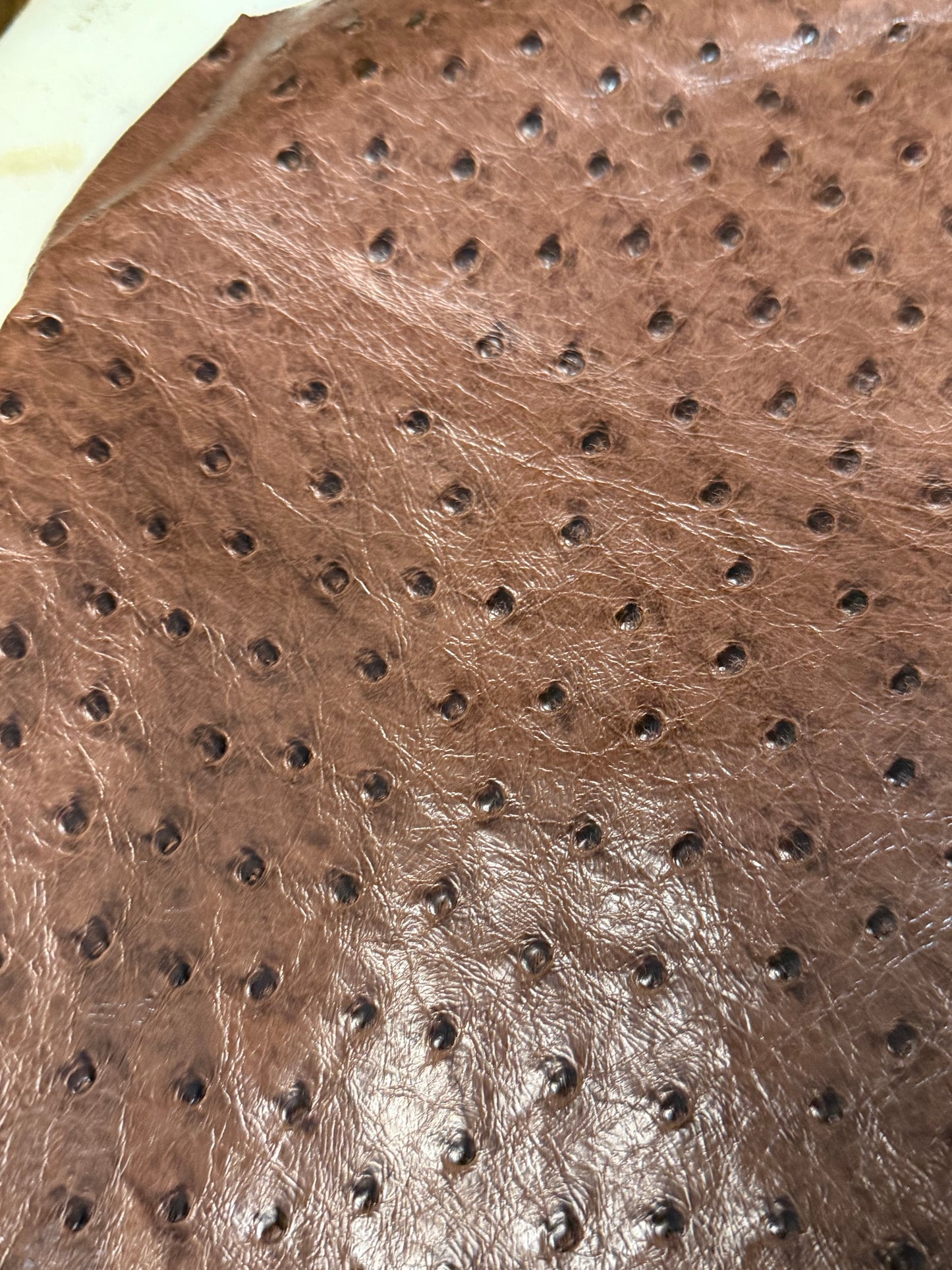 Exotic Long Wallets, Choose your leather!