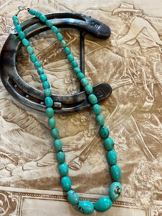 Sonoran Turquoise Bead Necklace 20”
