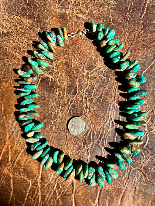 Fox Turquoise Tab Bead Necklace 17”