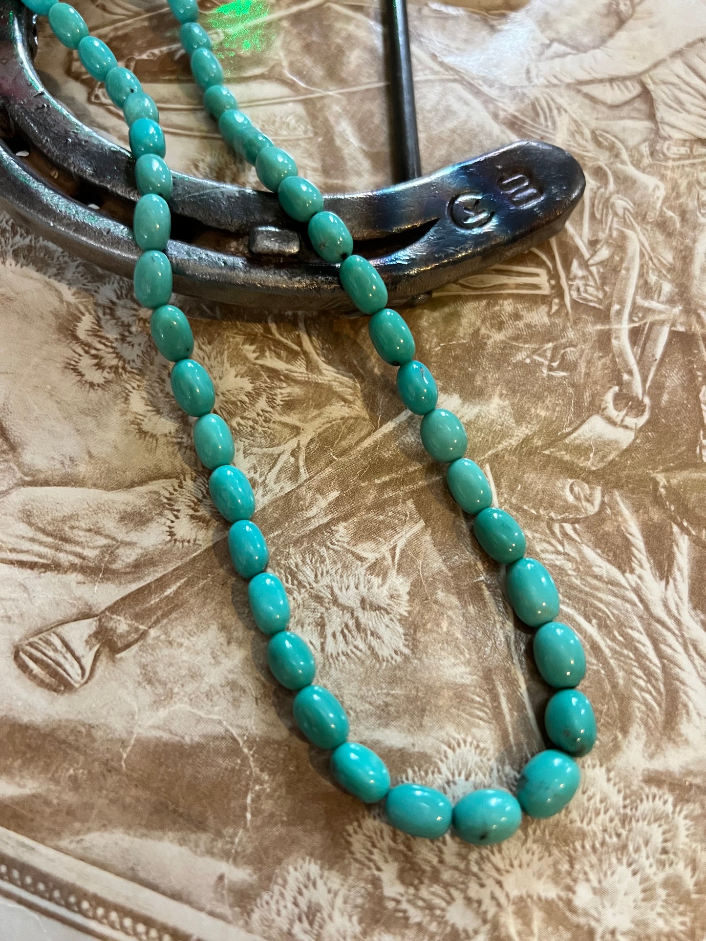 Sonoran Turquoise Bead Necklace 20”