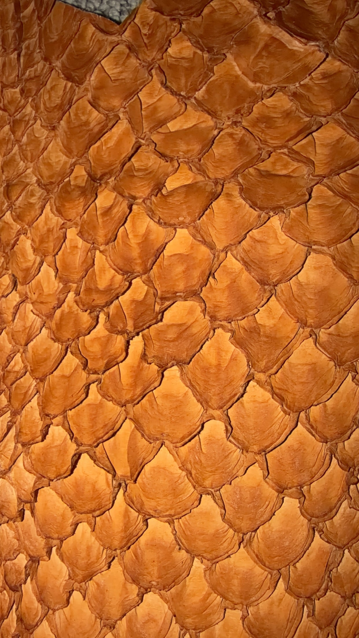 Exotic Long Wallets, Choose your leather!