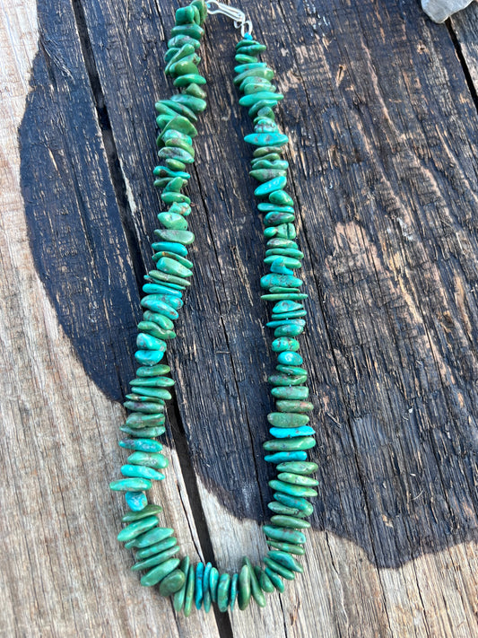 Chunky Sonoran Turquoise & Sterling 17” Necklace