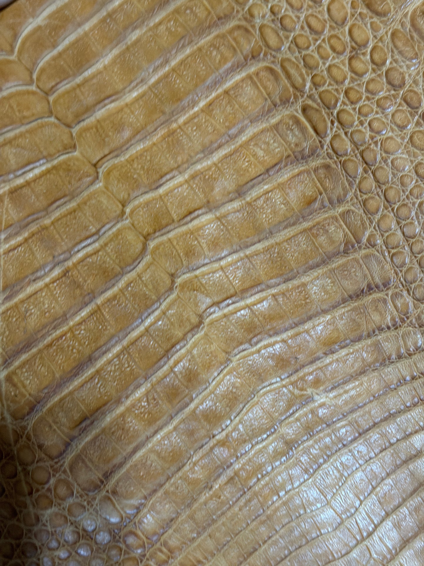 Exotic Bifolds, Choose Your Own Leather