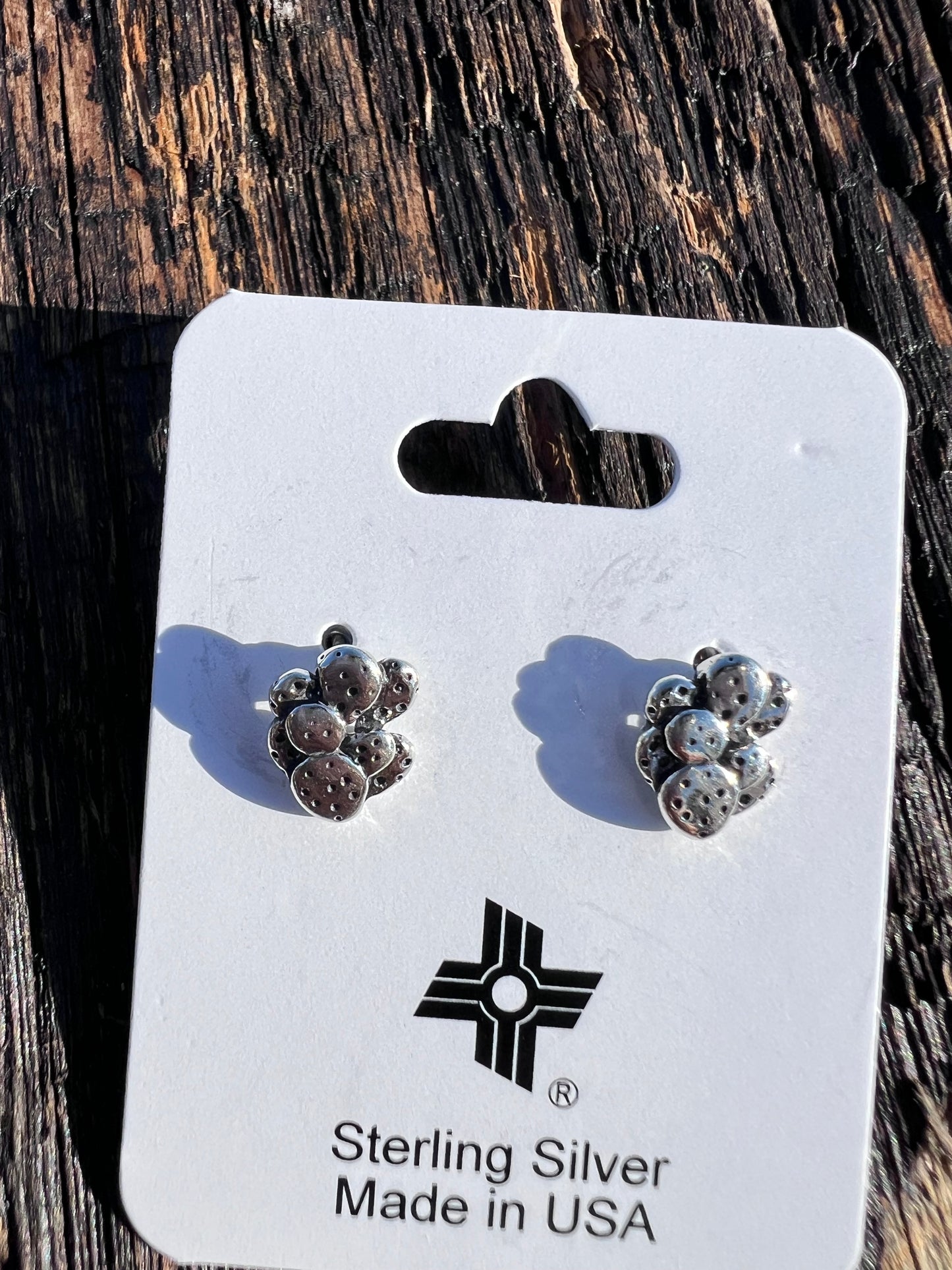 Sterling Liquid Silver Cactus Necklace 16” & Post Earrings 1/2” Set