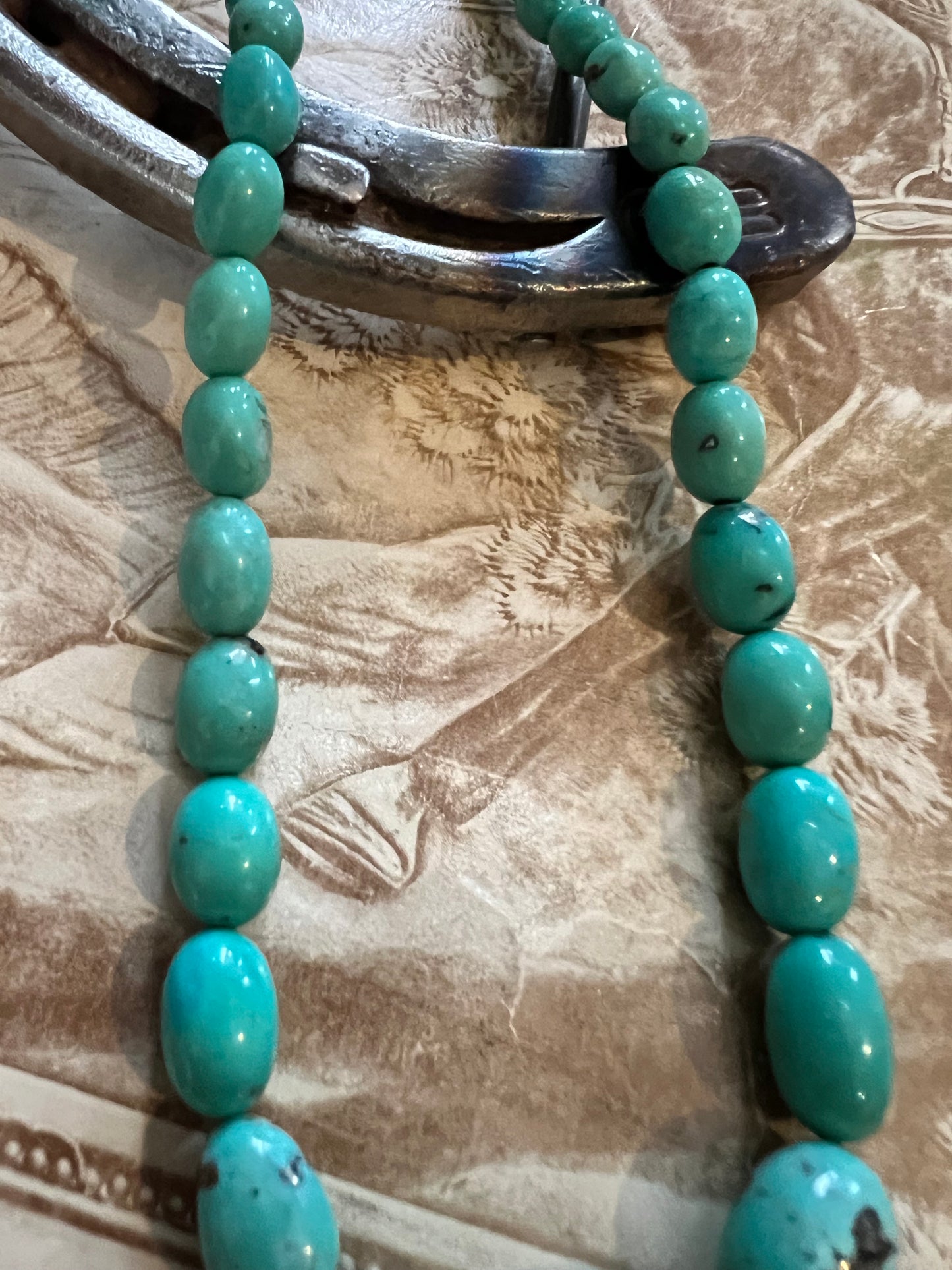 Sonoran Turquoise Bead Necklace 20”