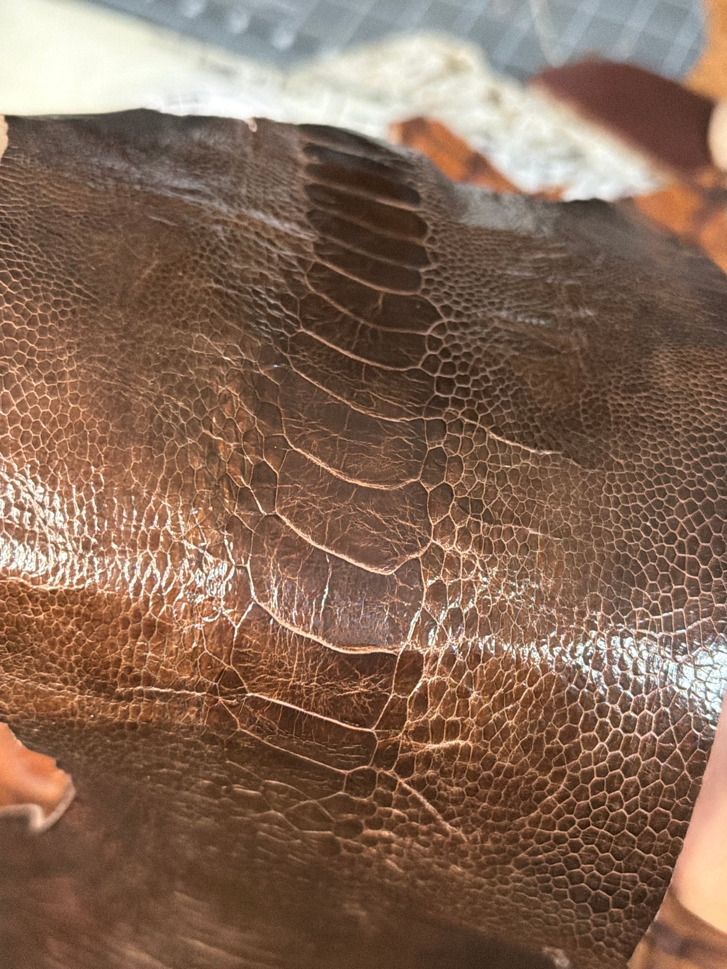 Exotic Bifolds, Choose Your Own Leather