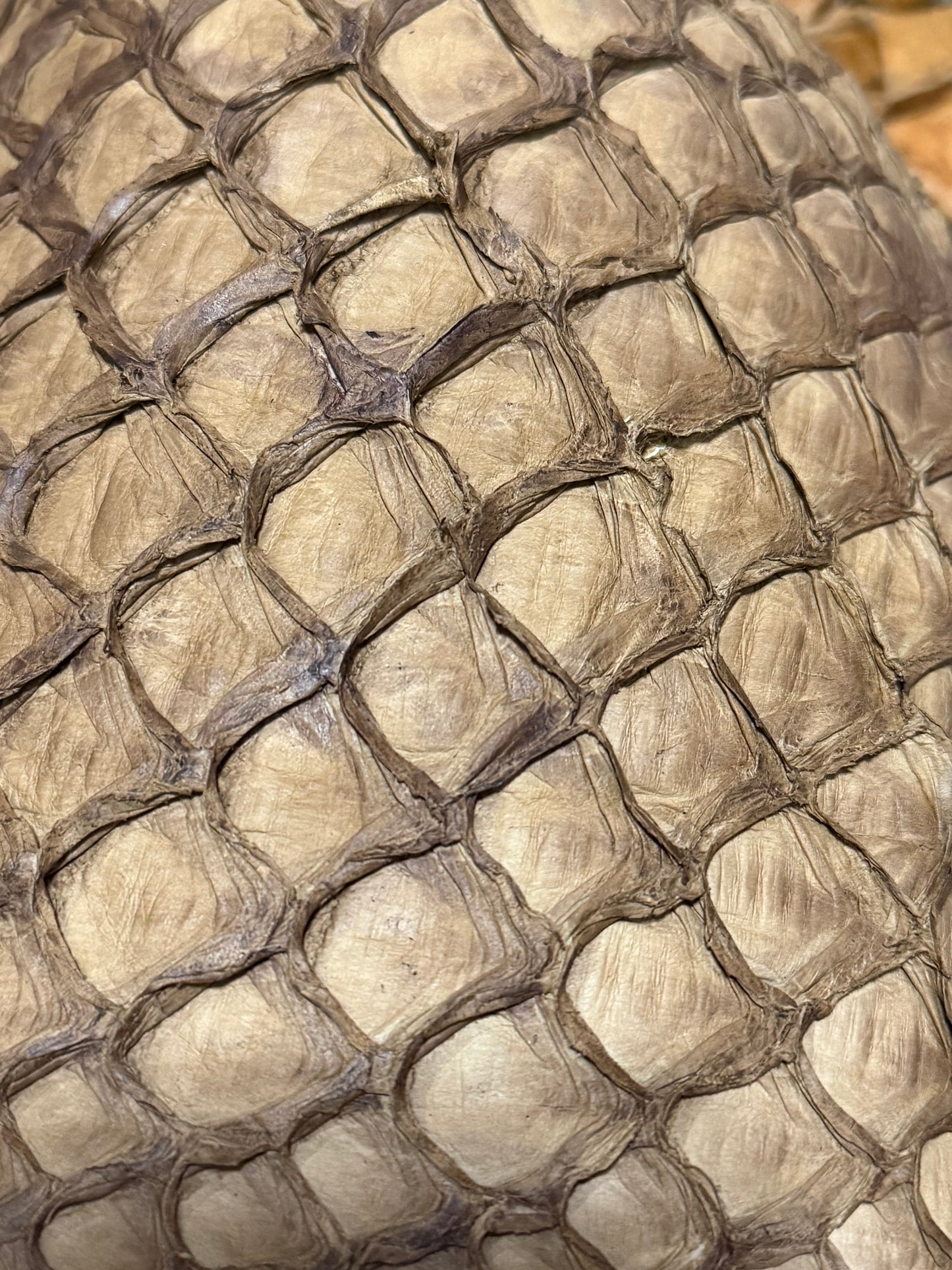 Exotic Long Wallets, Choose your leather!