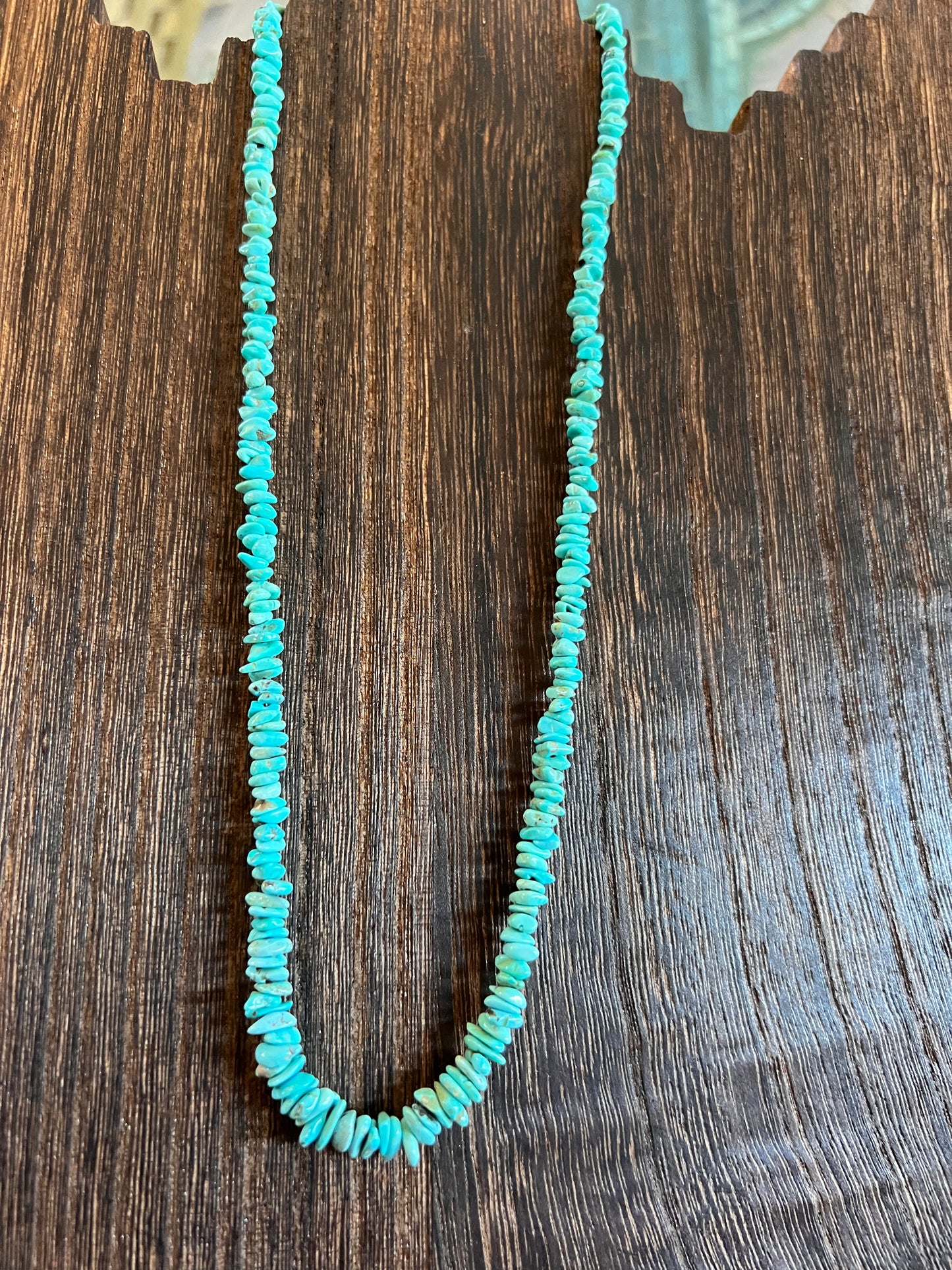 Campitos Turquoise 19” Strand Necklace